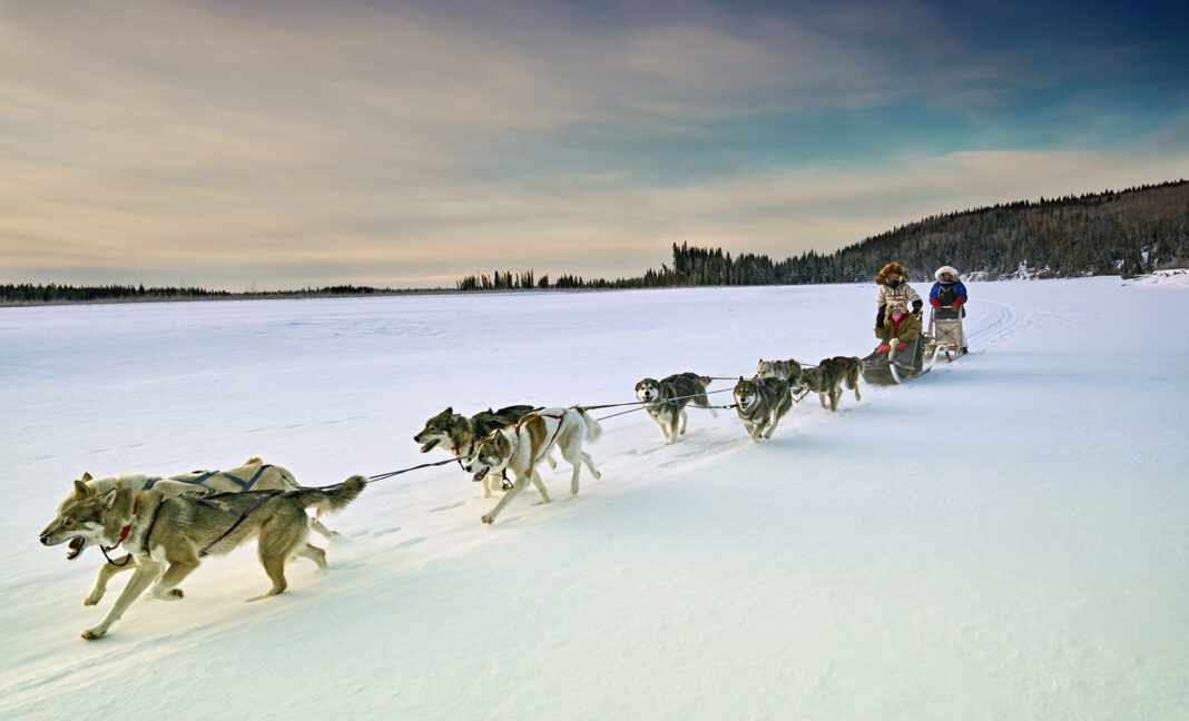এত ‘কম’ দামে কেনা হয়েছিল আলাস্কা!